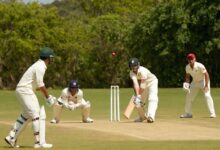 Cricket-Xashuyqadvolls-Now
