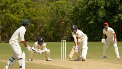 Cricket-Xashuyqadvolls-Now